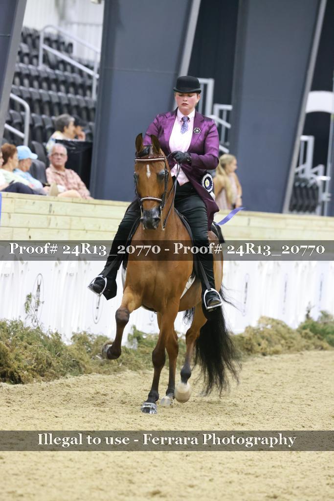 Proof 24R13_20770