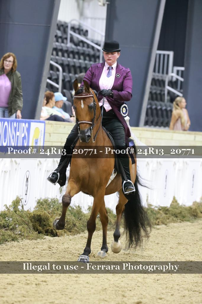 Proof 24R13_20771