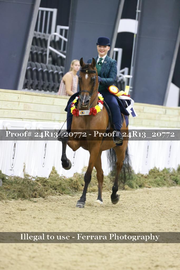 Proof 24R13_20772