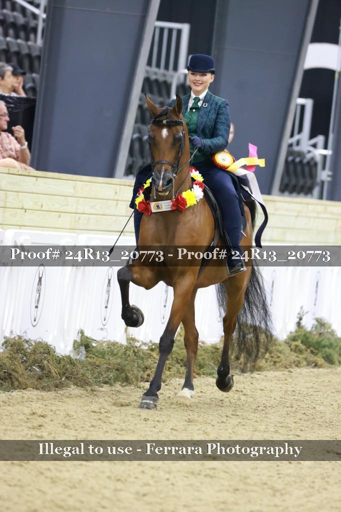 Proof 24R13_20773