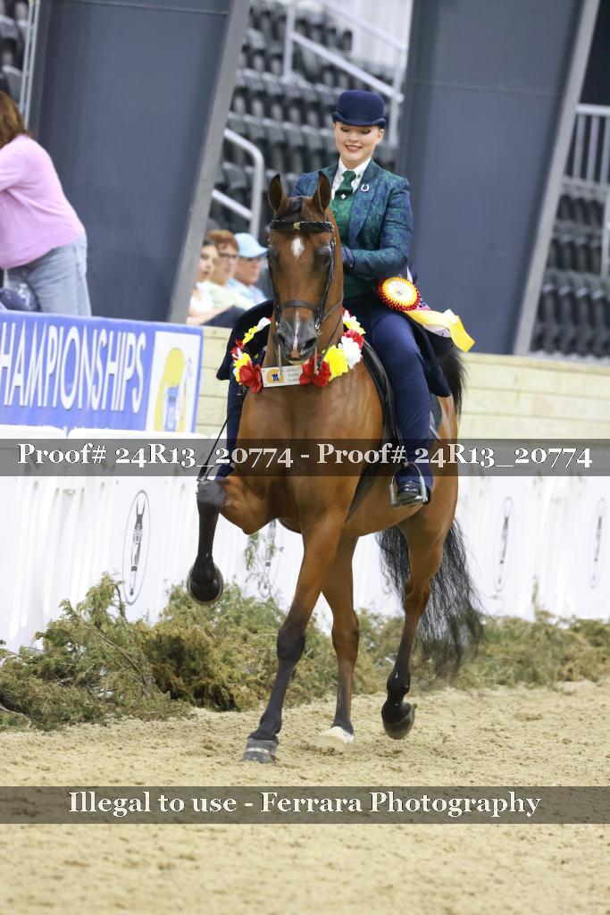 Proof 24R13_20774