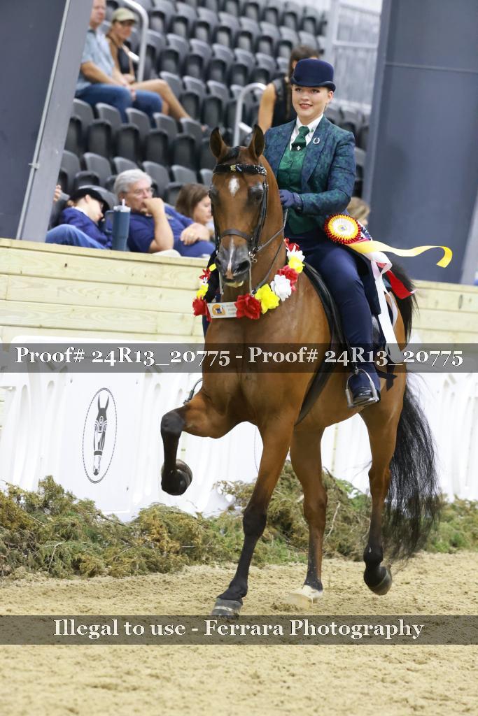 Proof 24R13_20775