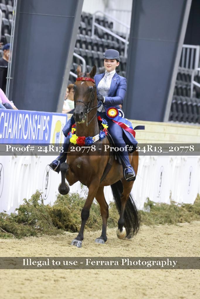 Proof 24R13_20778