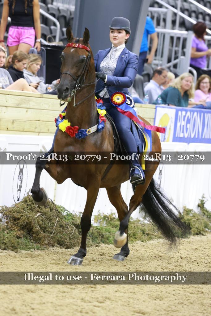 Proof 24R13_20779