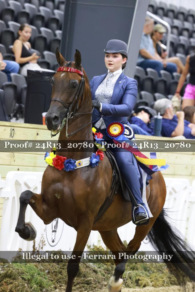 Proof 24R13_20780