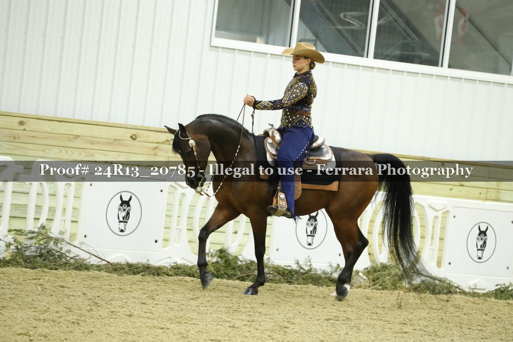 Proof 24R13_20785