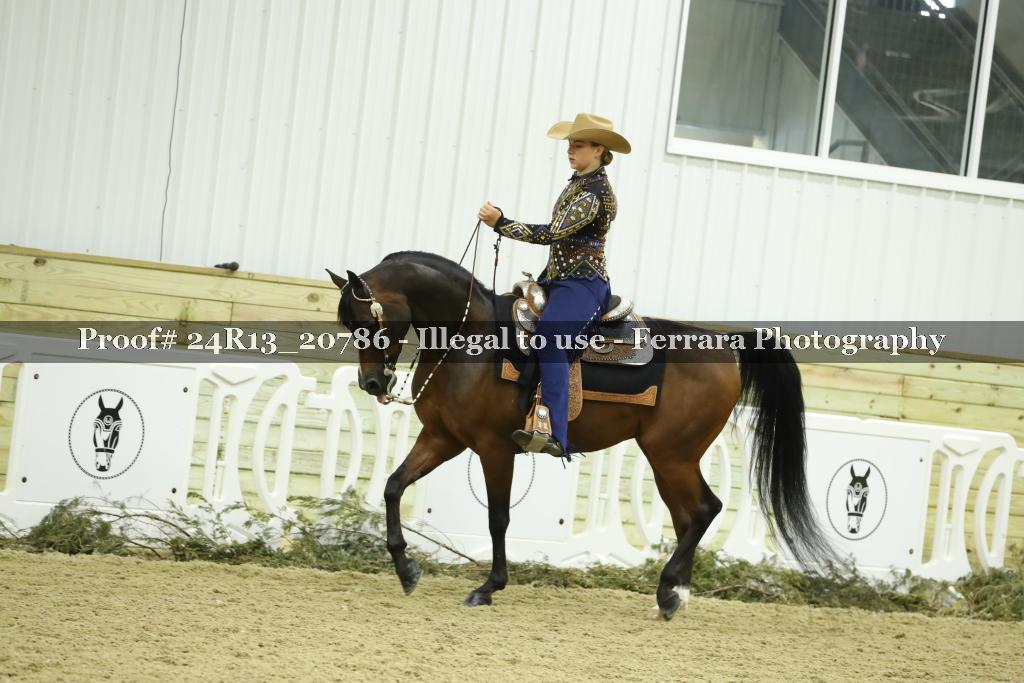 Proof 24R13_20786