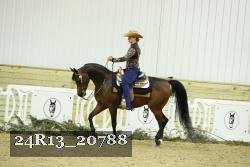 24R13_20788 proof