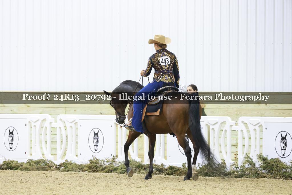 Proof 24R13_20792