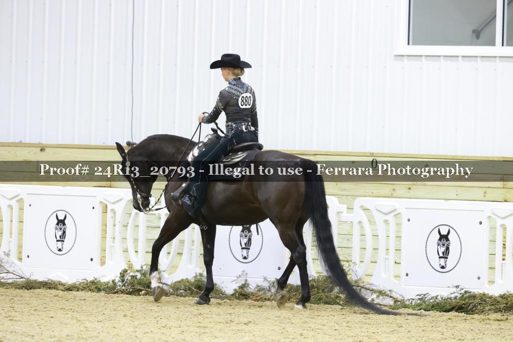 Proof 24R13_20793