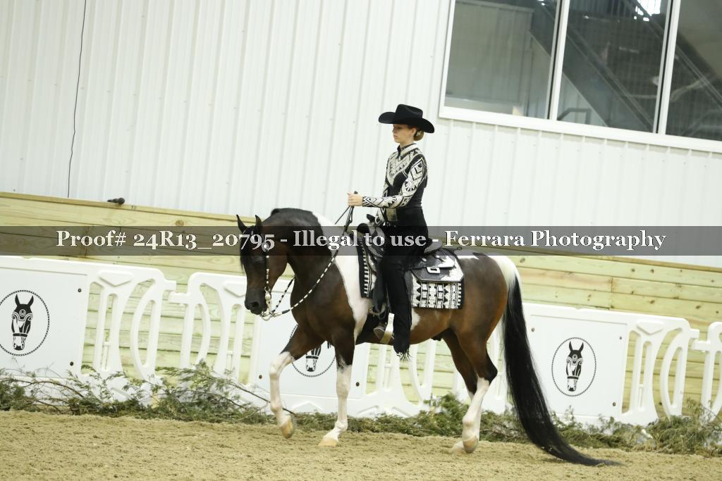 Proof 24R13_20795