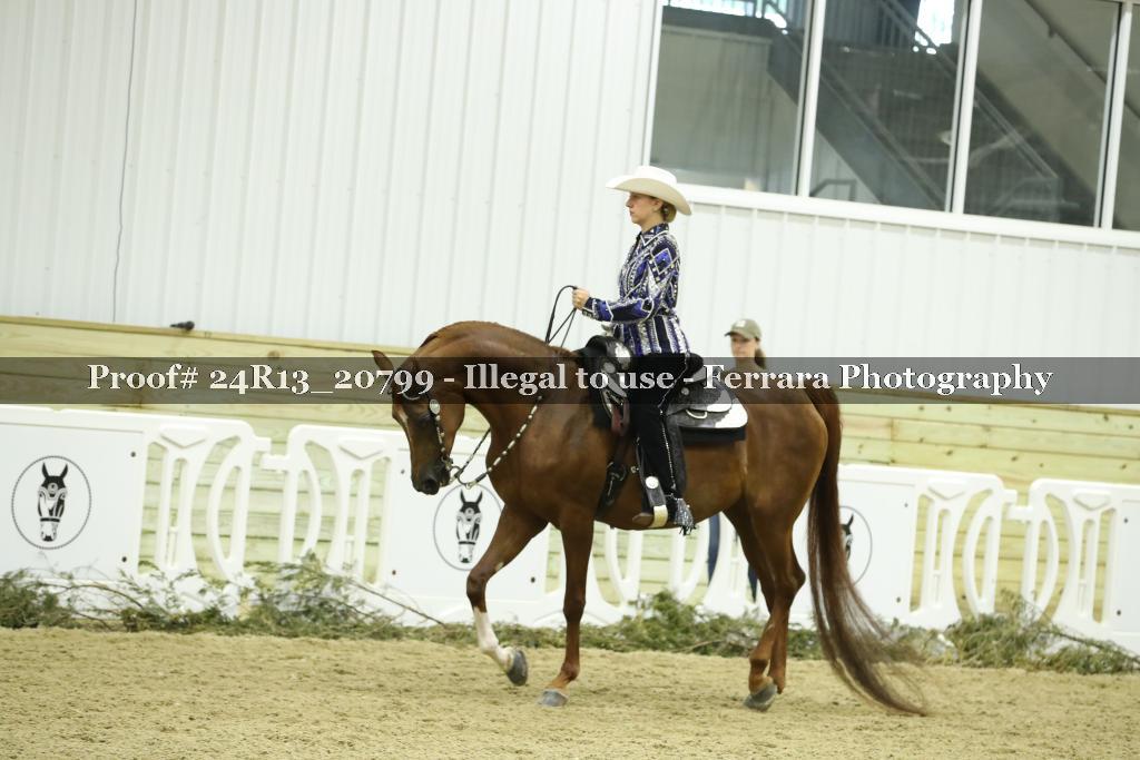 Proof 24R13_20799