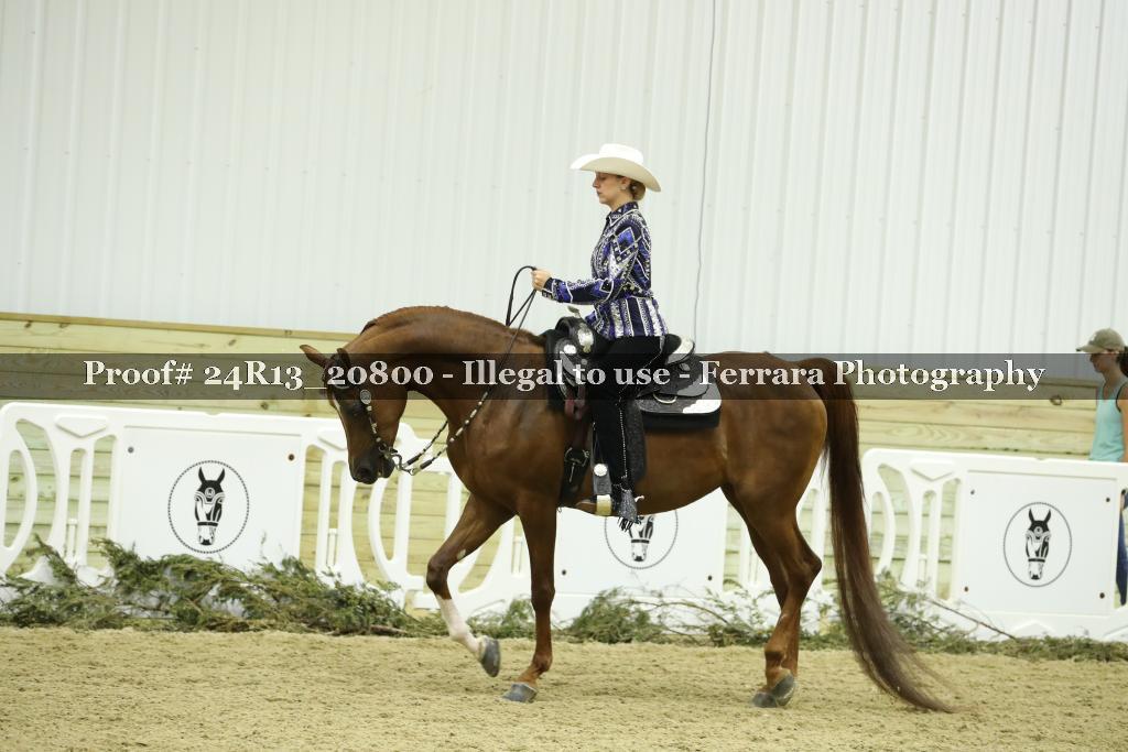 Proof 24R13_20800