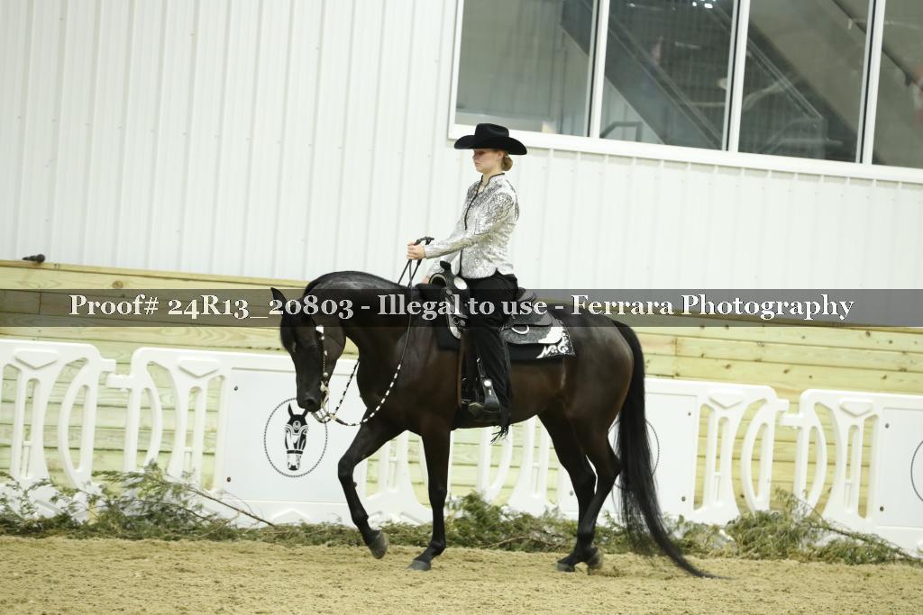 Proof 24R13_20803