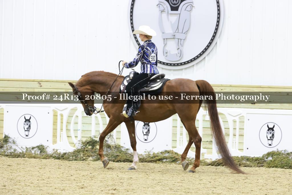 Proof 24R13_20805