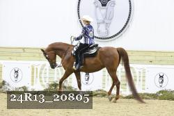 24R13_20805 proof