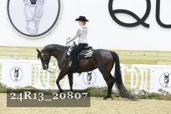 24R13_20807 proof