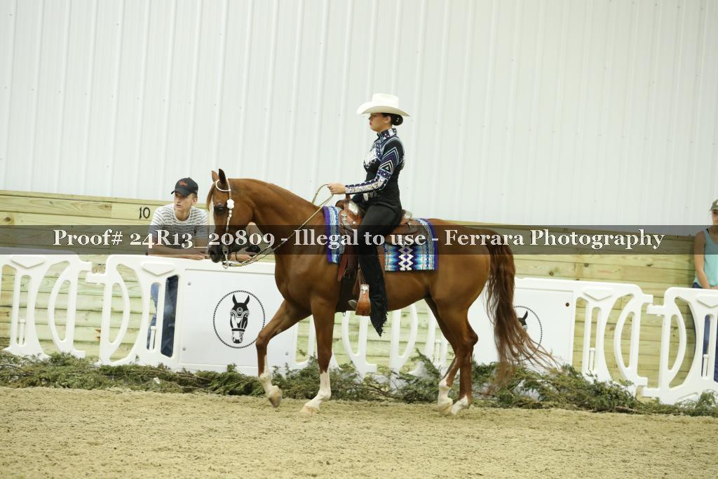 Proof 24R13_20809