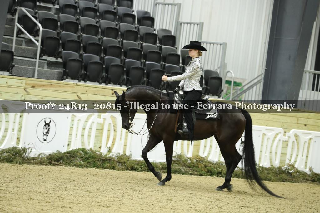 Proof 24R13_20815