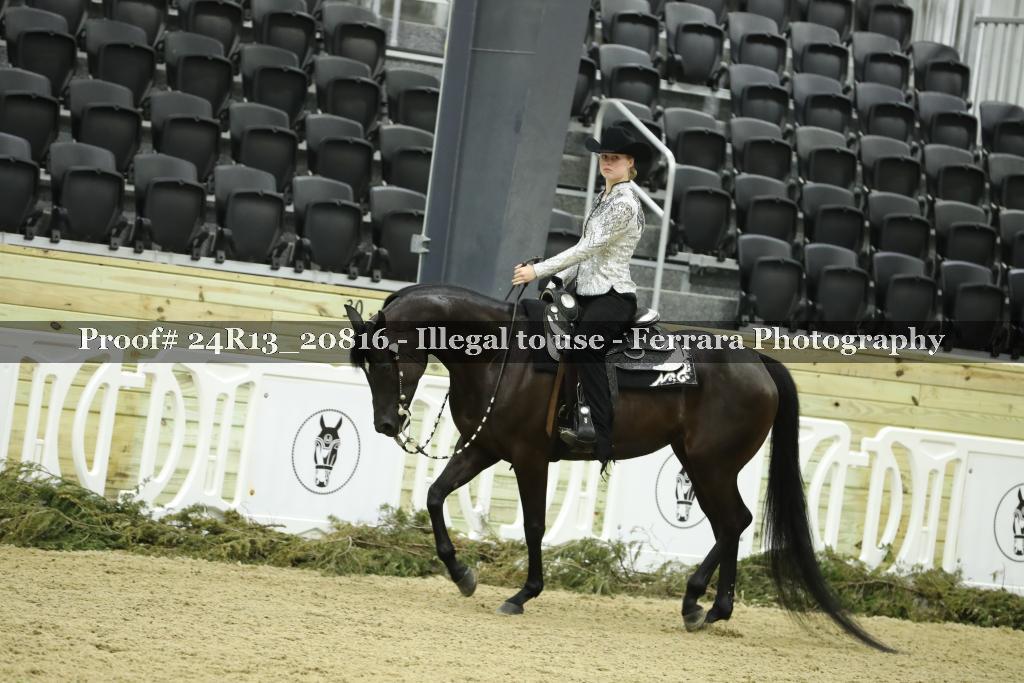 Proof 24R13_20816