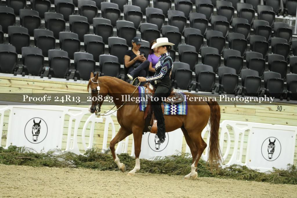 Proof 24R13_20823