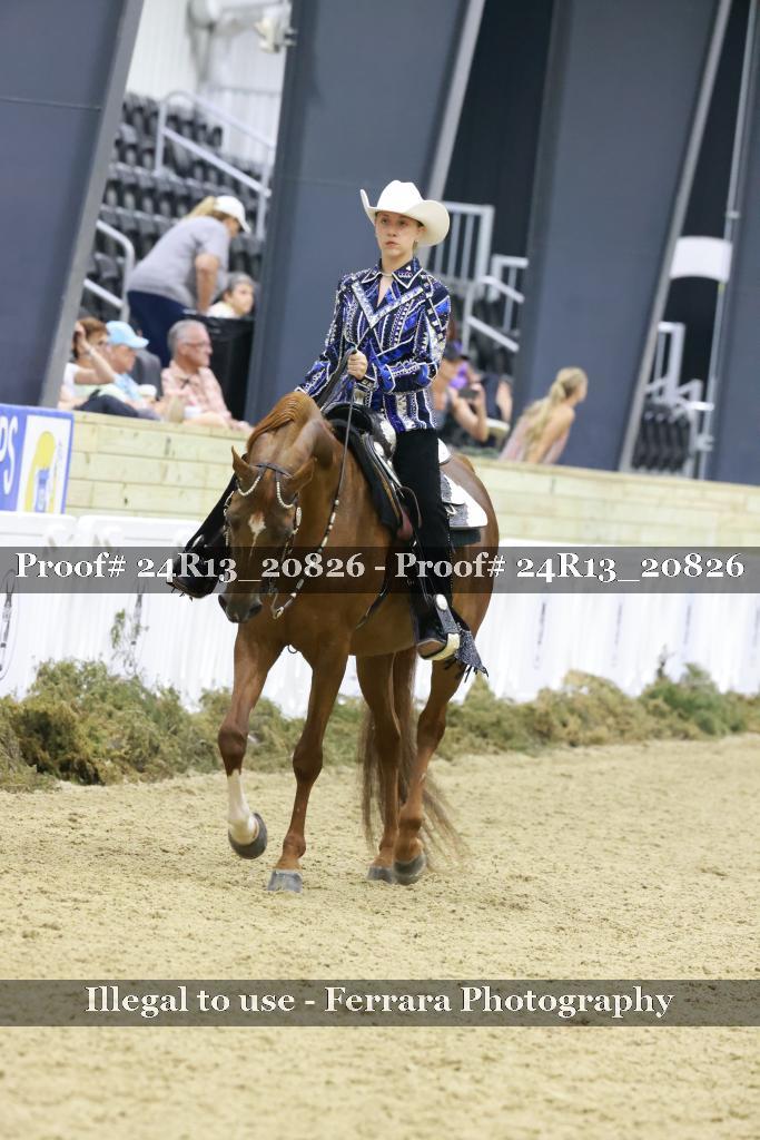 Proof 24R13_20826