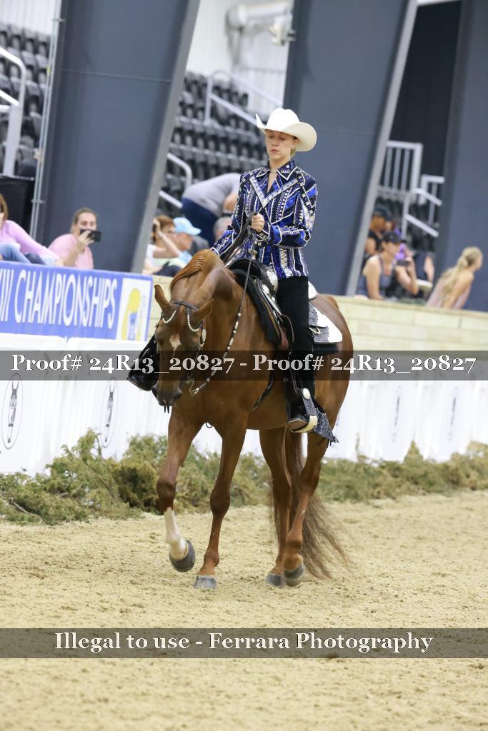 Proof 24R13_20827