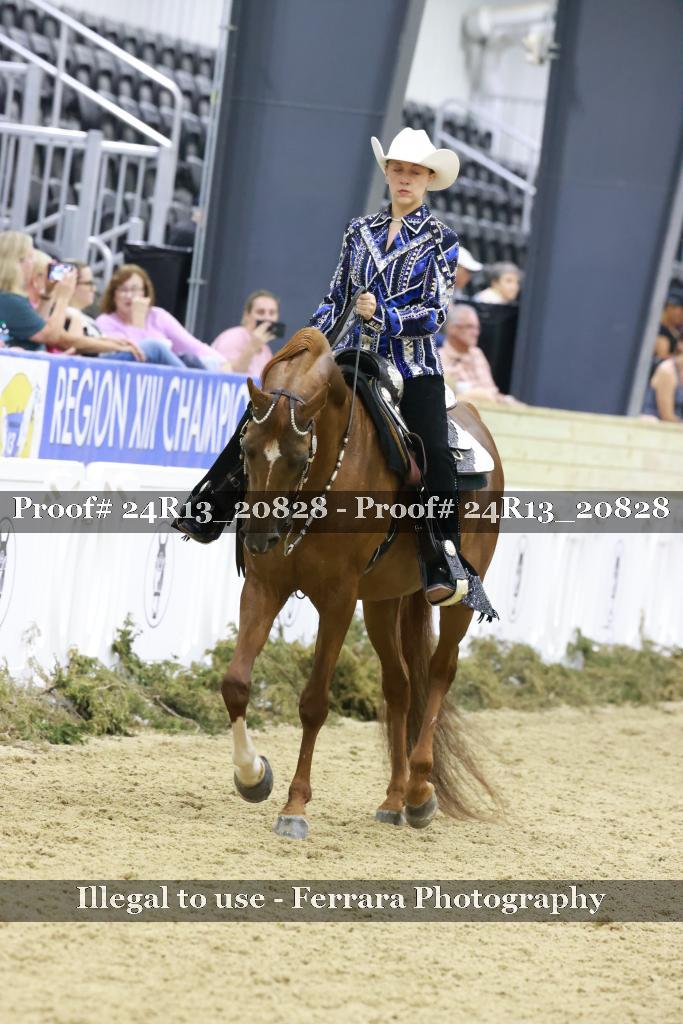 Proof 24R13_20828