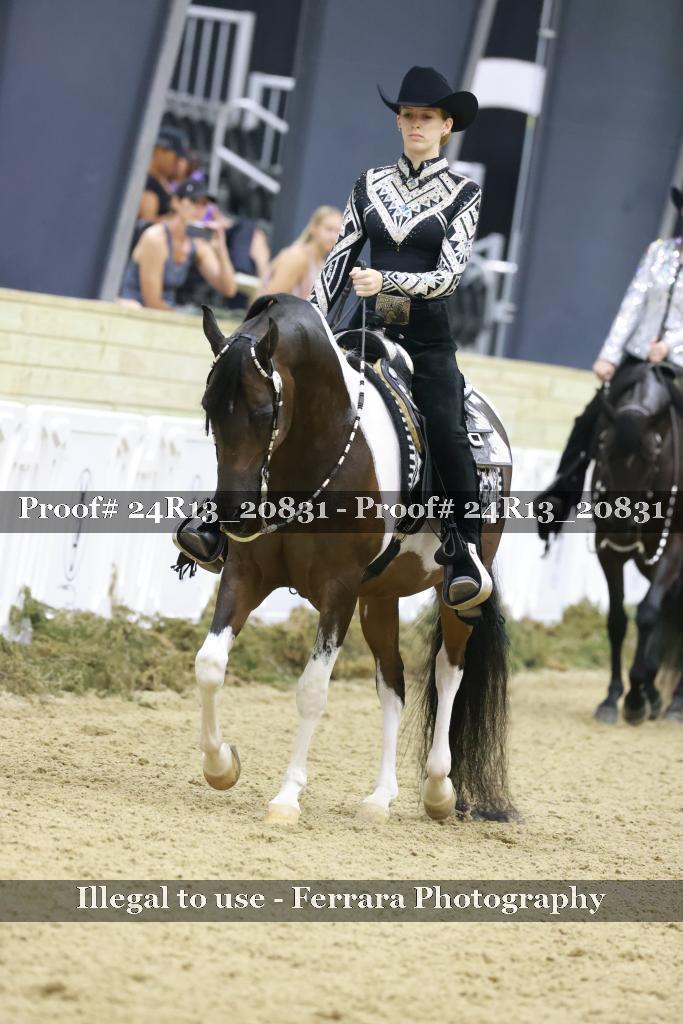 Proof 24R13_20831