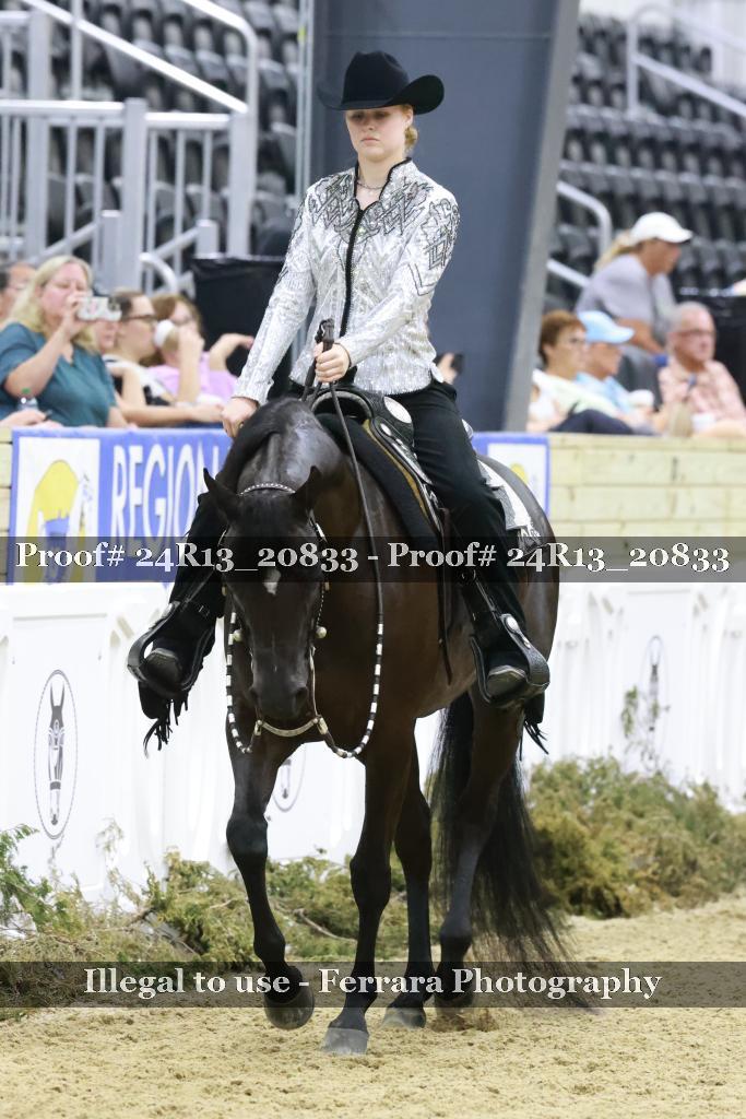 Proof 24R13_20833