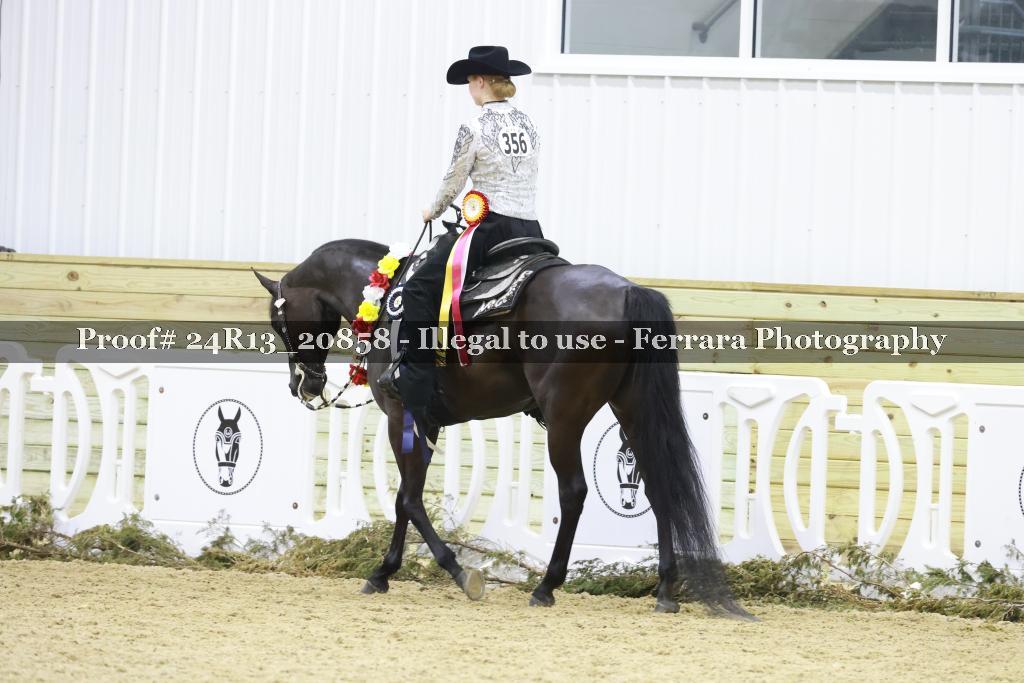 Proof 24R13_20858