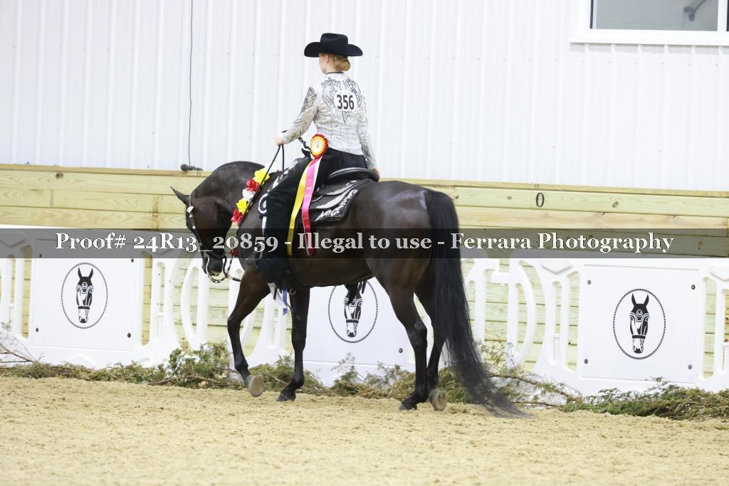 Proof 24R13_20859