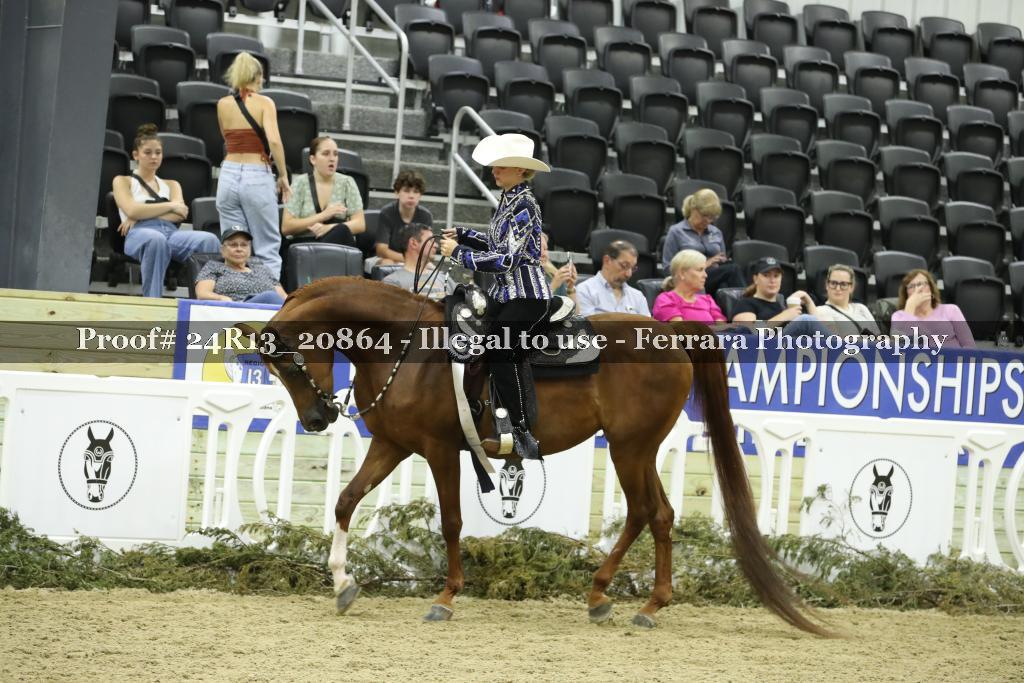 Proof 24R13_20864