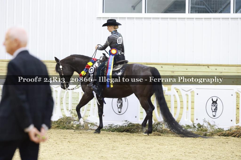 Proof 24R13_20866