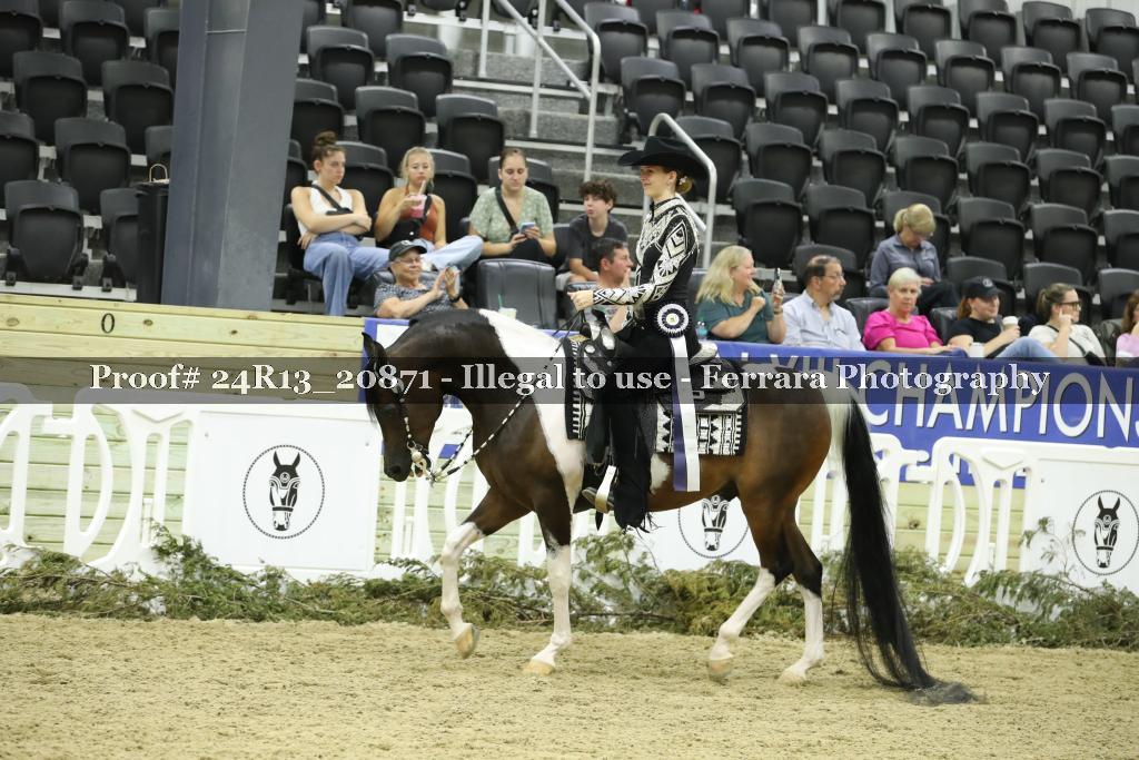 Proof 24R13_20871