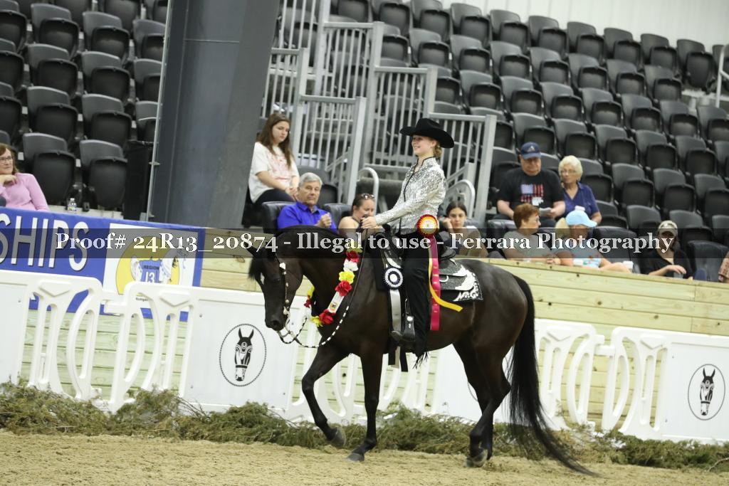 Proof 24R13_20874
