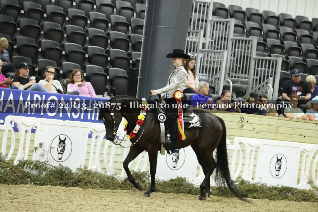Proof 24R13_20875