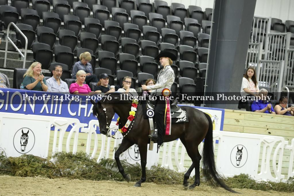 Proof 24R13_20876