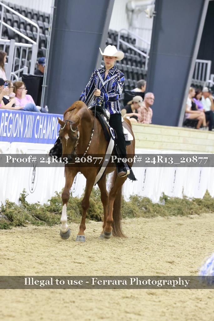 Proof 24R13_20877