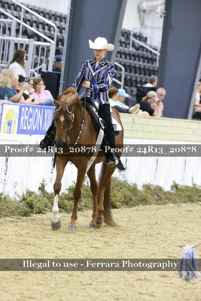 Proof 24R13_20878