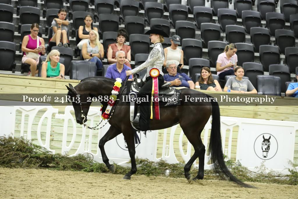 Proof 24R13_20883
