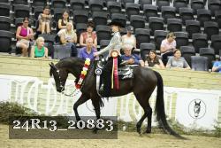 24R13_20883 proof