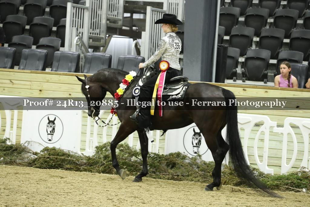 Proof 24R13_20885