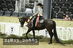 24R13_20885 proof