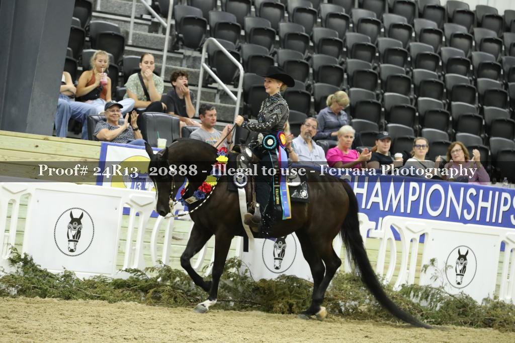 Proof 24R13_20888