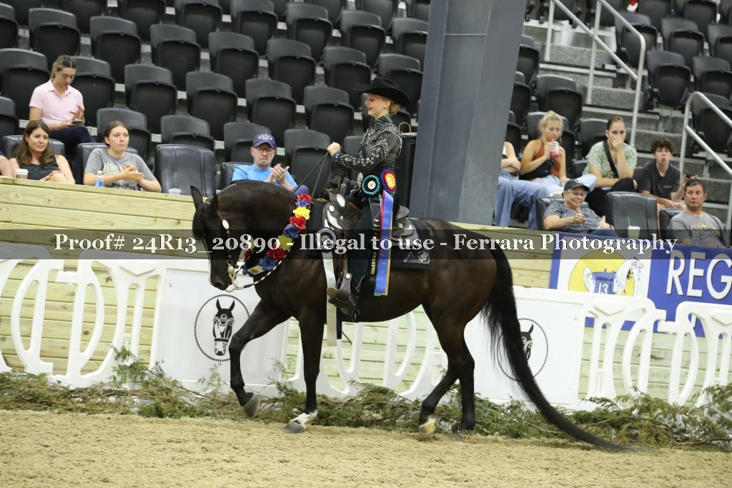 Proof 24R13_20890