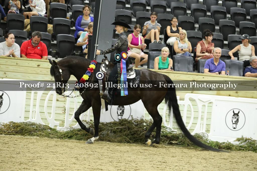Proof 24R13_20892