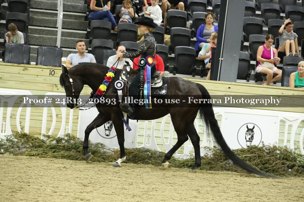 Proof 24R13_20893