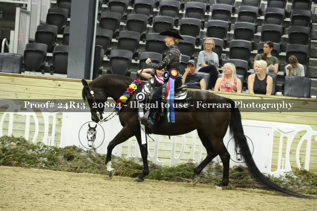 Proof 24R13_20894