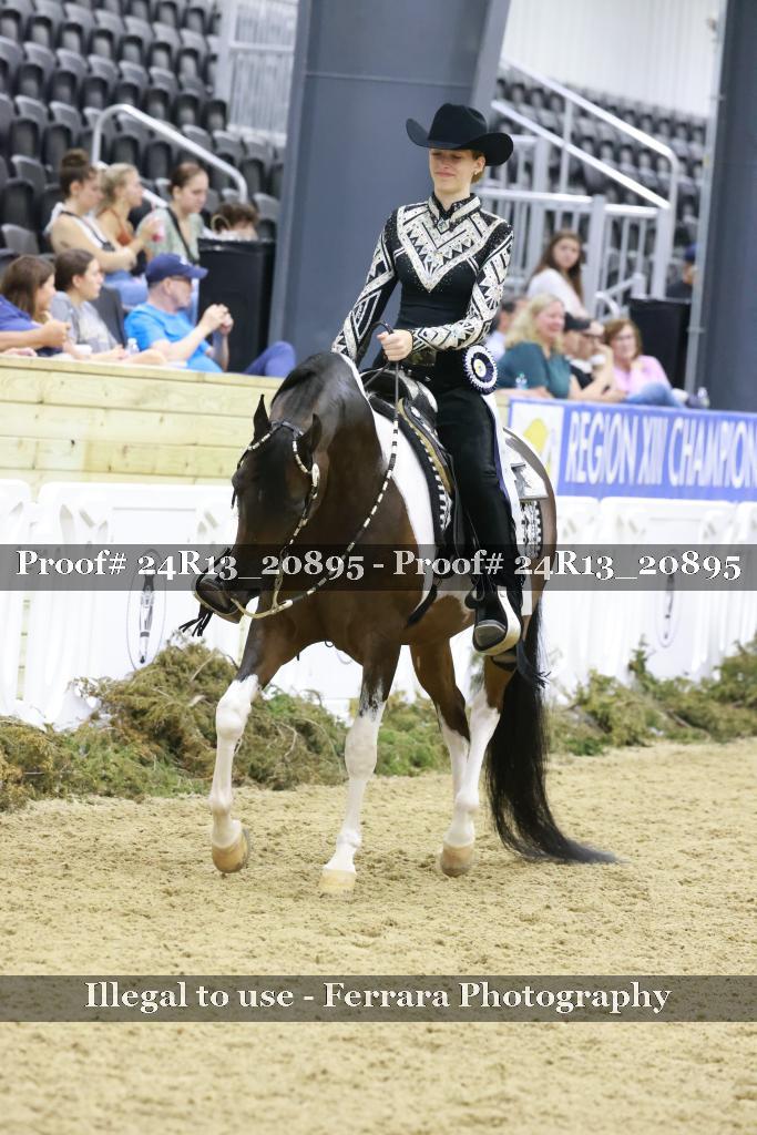 Proof 24R13_20895